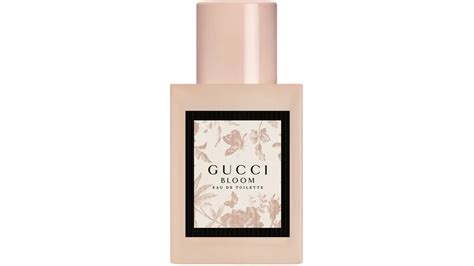 gucci bloom müller